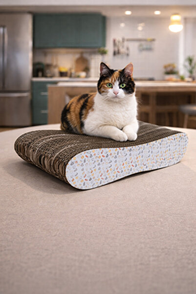 Yelbegen خدش القط من الورق المقوى