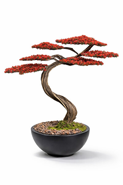 FENIXART Bonsai Ağacı Yapay
