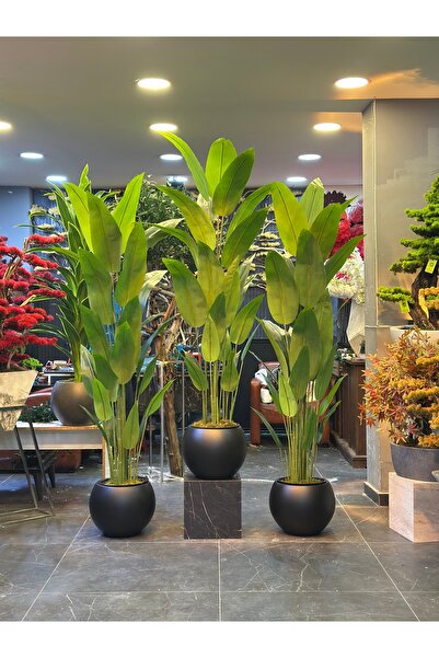 Adayapaycicek Yapay çiçek siyah saksı 200 cm 24 yaprak starlice