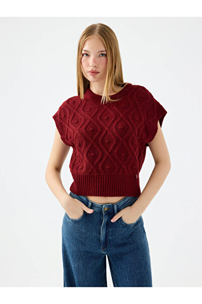 Loft Regular Fit Burgundy Women's Sweater Lf2041596