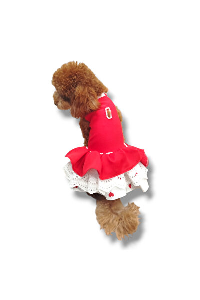 STE Kalp Desenli, Kırmızı Dişi Köpek Elbisesi – Özel Tasarım - Fistolu - Kons...