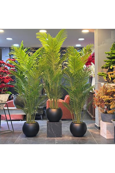 Adayapaycicek Yapay çiçek areka siyah saksı 200 cm 18 yaprak
