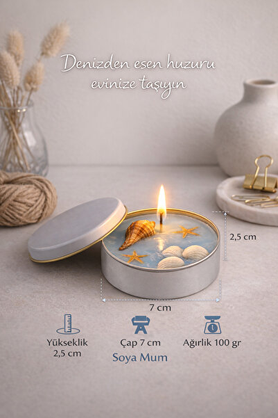 Flow Home Dekoratif Lüks Soya Mum,El Yapımı Mum,Dekoratif Afrika Deniz Kabuğu...