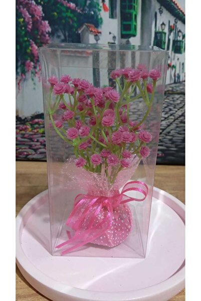 SAGA DEKORASYON & HEDİYELİK Asetat Kutuda Cipso Çiçek