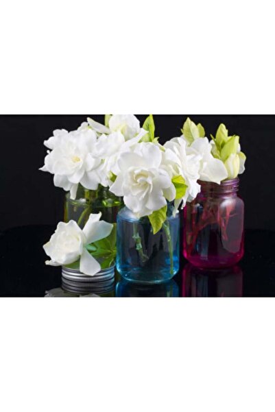 larosee Qardinia Perfume