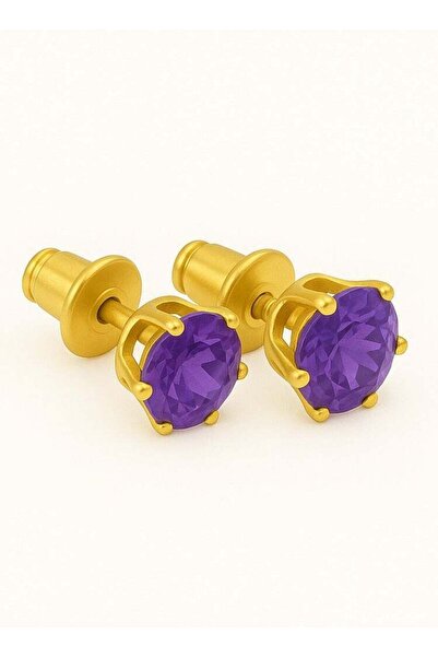 earss Amethyst Birth Stone February Gold Earring | Stainless Steel | 18K Gold...