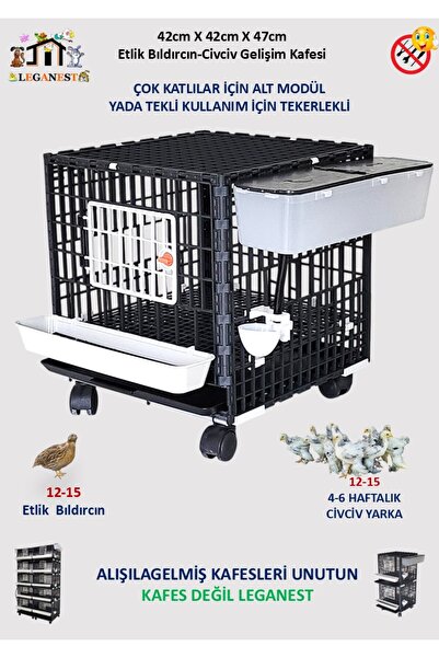 Leganest 42cm X 42cm X 47cm Civciv Gelişim Kafesi LGN40DS_CVC_TK
