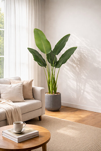 SADANHOME Banana leaf tree, 3 plastic pots, 160cm