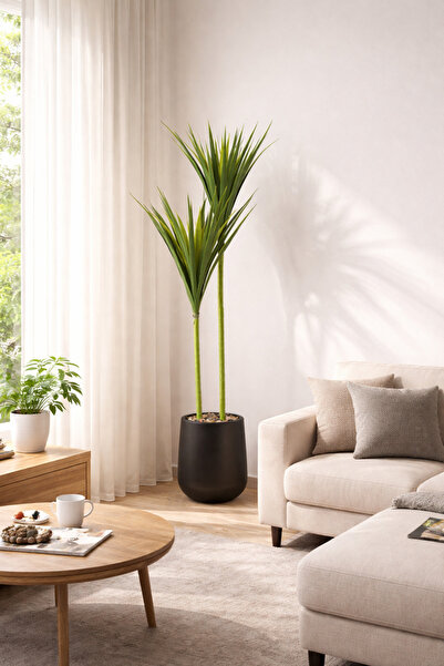 SADANHOME Cactus plant, 2 branches, 125cm plastic pot