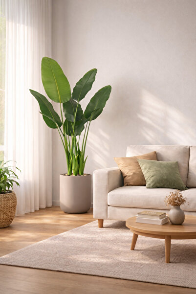 SADANHOME شجر ورق موز 3 حوض بلاستيك 160سم