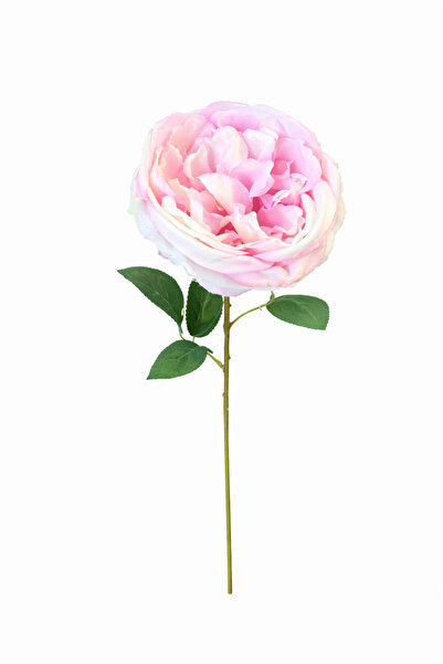 OEM Delicate pink and extra rich cream artificial rose 50 cm flower diameter ...