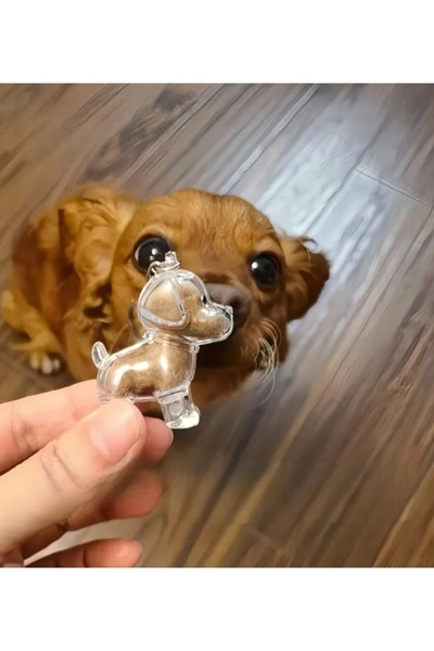 Yaratıcı sanatlar atölyesi Transparent Dog Hair Storage Capsule Gashapon Dog ...