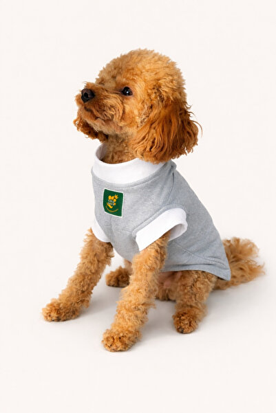 VERAPAWS سترة للكلاب من سلالة صغيرة مع جيوب - ناعمة الملمس، تحافظ على الدفء