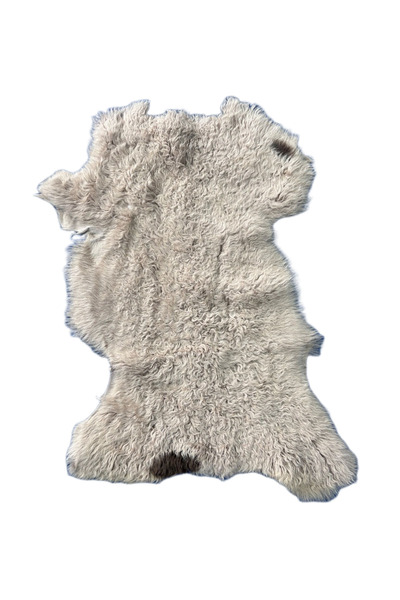 ln leather جلد الغنم الحقيقي ذو الشعر الطويل - جلد الغنم الطبيعي ذو الشعر الط...