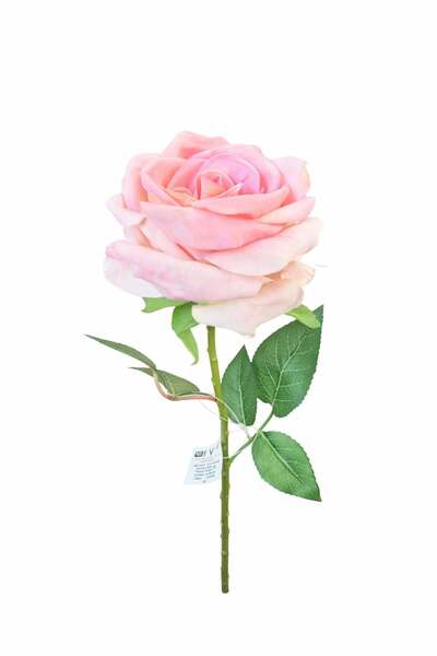 OEM Artificial cream rose with pink velvet petals 50 cm flower diameter 8-9 cm