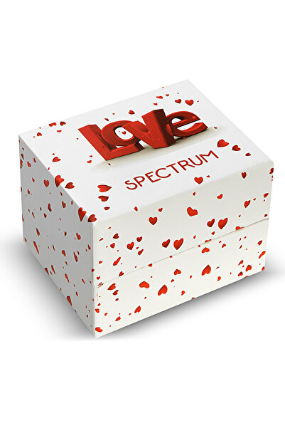 SPECTRUM PREMİUM Spectrum Yastıklı Özel Saat Kutusu Hediye Kutusu