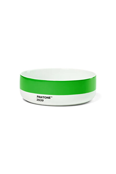 Pantone Porselen Bowl Kase Yeşil