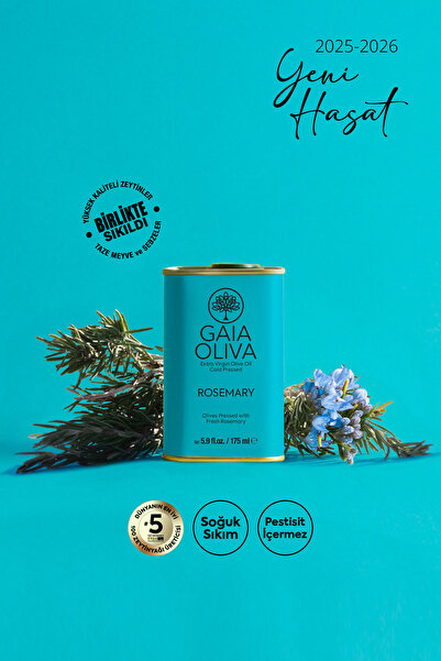 Gaia Oliva Biberiye Çeşnili 175 ml Natürel Sızma Zeytinyağı (Yeni Hasat)