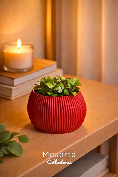 Mosart مزهرية بتصميم دائري محزز عصري / قطعة ديكور