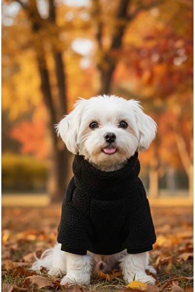 Lokums Welsoft High-Necked Dog Clothes Soft Plush Basic Dog Sweater