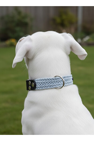 balkonda Dog Collar Adjustable Small, Medium, Large and Extra Large Breeds Me...
