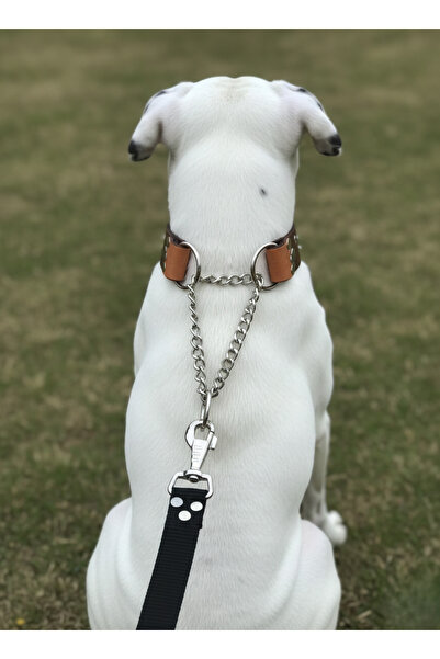 balkonda Dog Collar Adjustable Medium, Large and Extra Large Breed Leather Si...