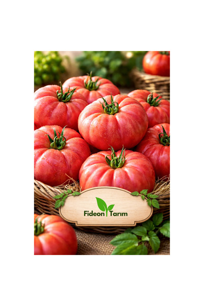 Fideon Pembe Köy Domates Fidesi | Bahçe ve Saksıya Uygun – 5 Adet
