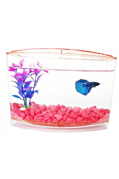 Atlantic Betalık Bölmeli Izgaralı Betta Beta Kabı Tankı Akvaryum 1800 ml - 19...