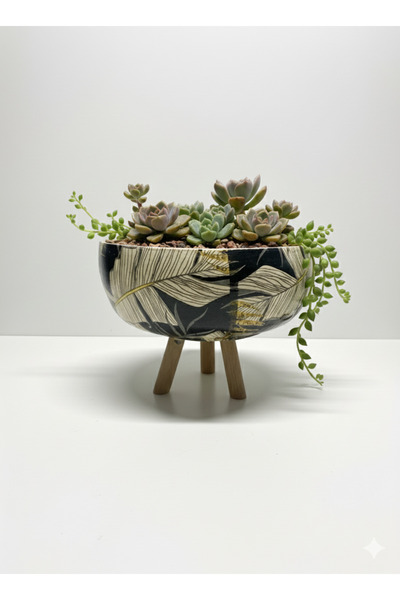 çiçek rengi dekor Desenli Yuvarlak 3 Ayaklı Beton Sukulent ve Kaktüs saksısı
