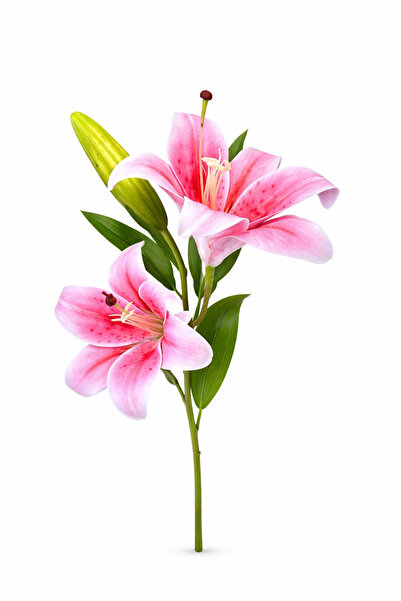OEM Artificial pink and white lily with 2 flowers and bud, elegant look, 35 cm