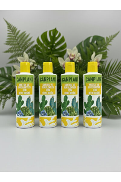 CANPLANT BİTKİ BESİNİ 4 LÜ KAKTÜS VE SUKULENT İÇİN