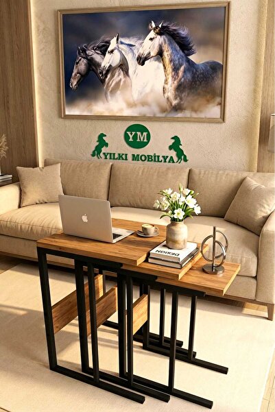 Yılkı Mobilya Eko C Zigon Sehpa Atlantik Çam / Siyah