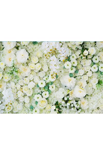 OEM Fundal Fotografie, M21, vinil, 2.5x2M