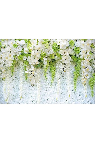 OEM Photography Background, M22, vinyl, 2.5x2M