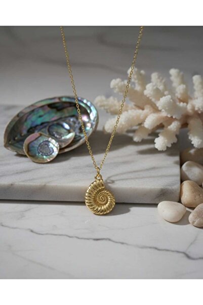 BS JEWELRY Gold Color Steel Necklace with Sea Shell Figure – Minimal & Stylis...