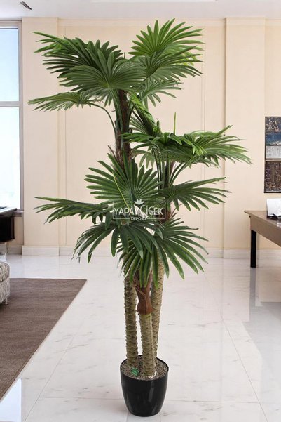 Yapay Çiçek Deposu Yapay 3 Gövdeli 27 Yapraklı Yelpaze Palmiye Fanpalm Ağacı ...
