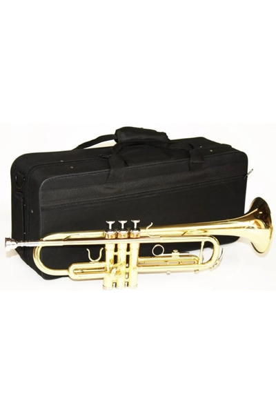 OEM Kit Trompeta incepator SLADE auriu cupru geanta transport