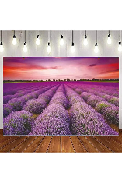 OEM Fundal Foto, vinil, Model 43, 2.5 x 2 M