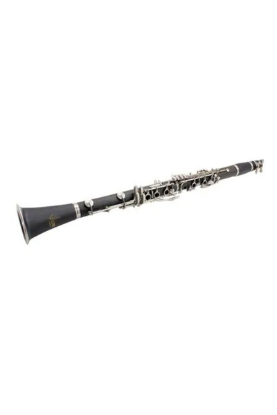 OEM Clarinet SLADE system 17 clape