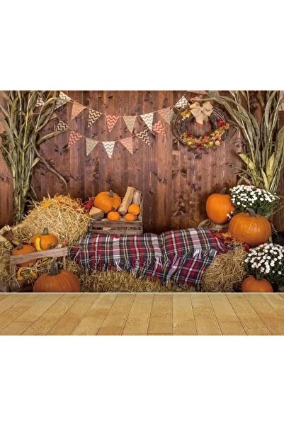 OEM Photography Background M35, 2.5 x 2M