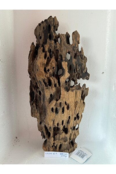 Meç Dragon Wood (No:DR08-403) [21x10x43h]