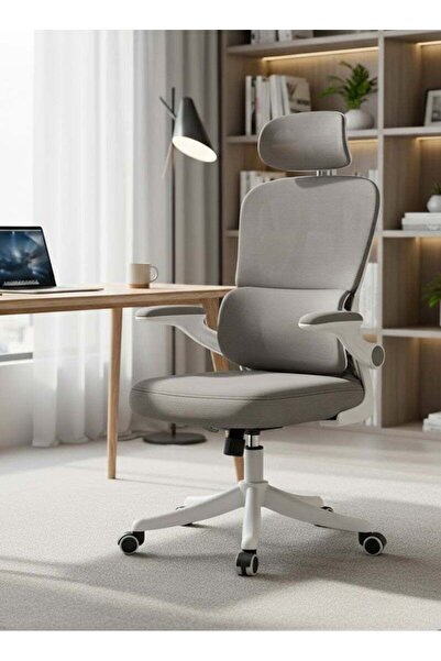DROGO Premium Office Chair for Home, Computer Ergonomic Office Chair and Desk...