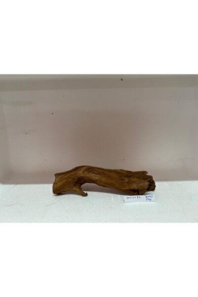 Meç Mangrow Kökü (No:20143) [30x11x8h]