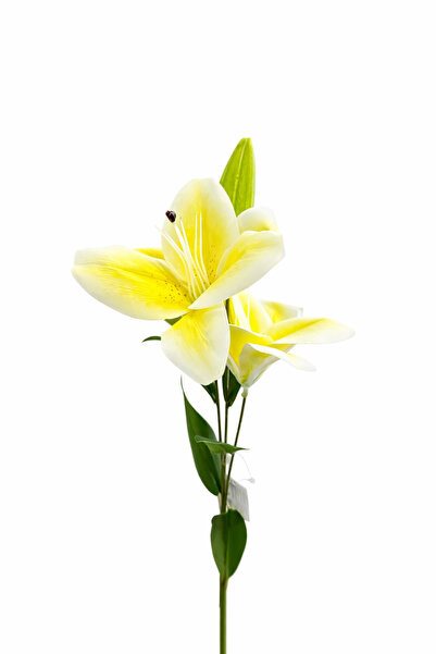 OEM Elegant artificial lily yellow with white, 2 flowers and bud, height 70 cm
