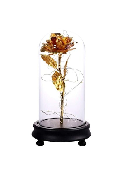OEM Lucoss Rose Dome, LED, Gold, 14.5 x 21 cm