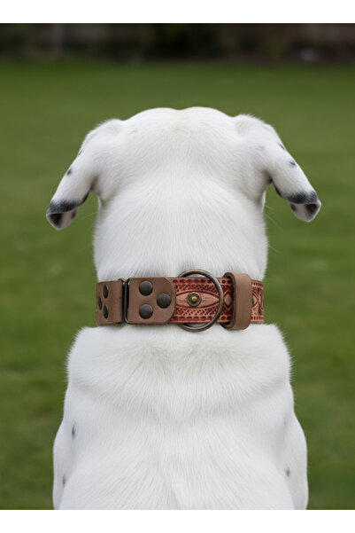 balkonda طوق للكلاب قابل للتعديل، مناسب للسلالات المتوسطة والكبيرة والكبيرة ج...