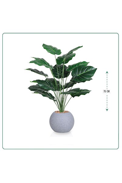 SADANHOME Leaf seedling, heart-shaped plastic pot, 75