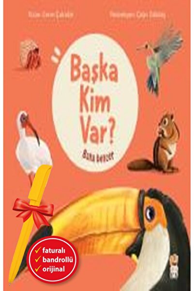 Sincap Kitap Alfa Kalem+Bana Benzer - Başka Kim Var (Ceren Çukadar) YENİ Çocu...