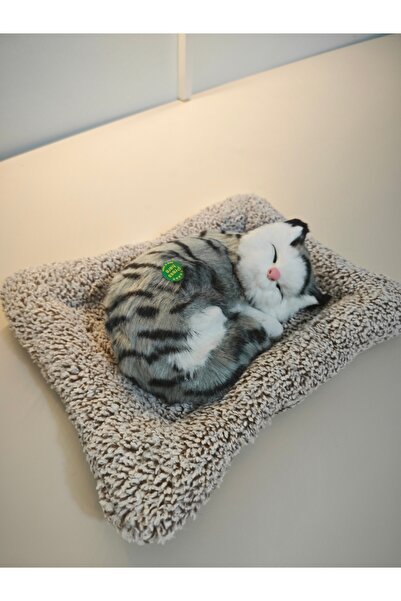 HBM MARKET 37 Minderde uyuyan sesli kedi büyük boy Tekir