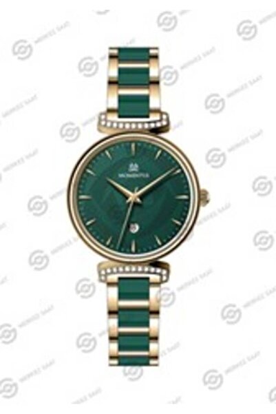 Momentus Ss390T-15Sg Women's / Girls' Wristwatch